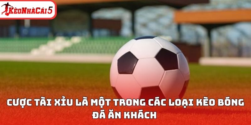 Cược t&agrave;i xỉu l&agrave; một trong c&aacute;c loại k&egrave;o b&oacute;ng đ&aacute; ăn kh&aacute;ch&nbsp;