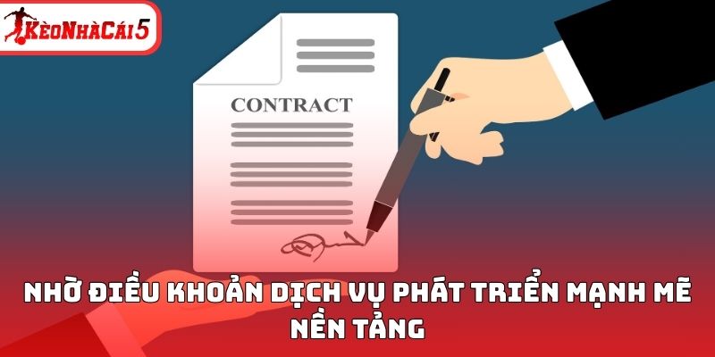 Nhờ điều khoản dịch vụ ph&aacute;t triển mạnh mẽ nền tảng&nbsp;