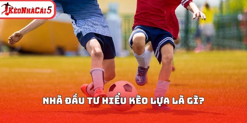 Nh&agrave; đầu tư hiểu k&egrave;o lựa l&agrave; g&igrave;?