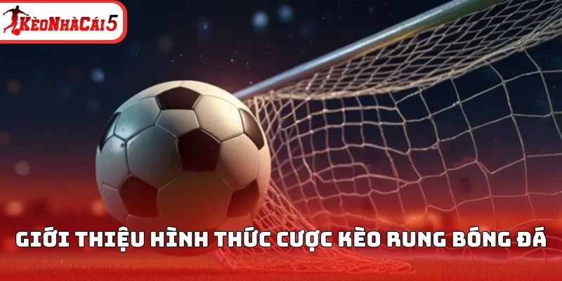 Giới thiệu h&igrave;nh thức cược k&egrave;o rung b&oacute;ng đ&aacute;