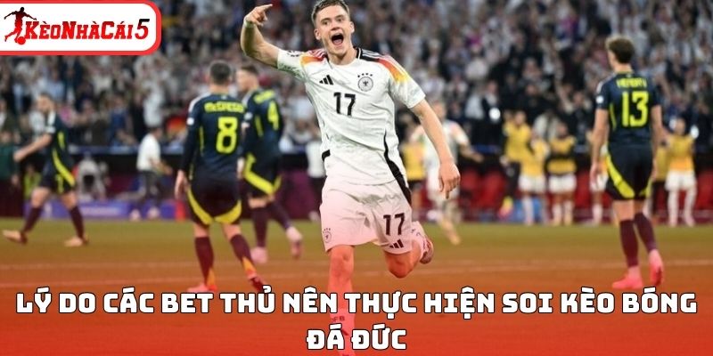 L&yacute; do c&aacute;c bet thủ n&ecirc;n thực hiện soi k&egrave;o b&oacute;ng đ&aacute; Đức