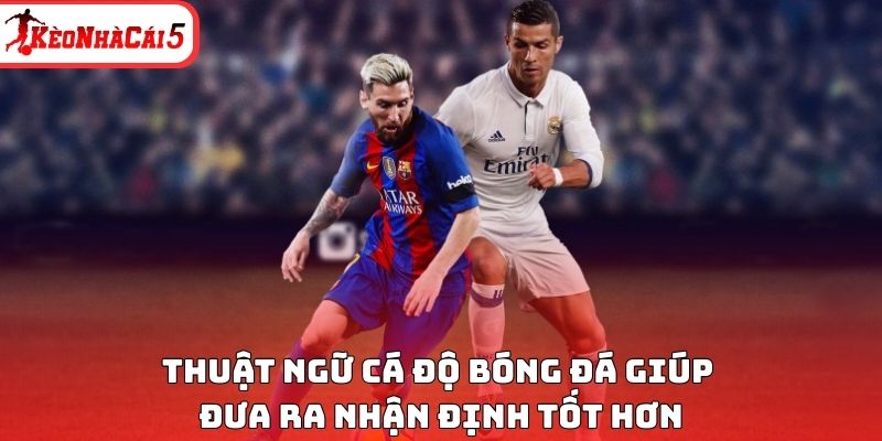 Thuật ngữ c&aacute; độ b&oacute;ng đ&aacute; gi&uacute;p đưa ra nhận định tốt hơn