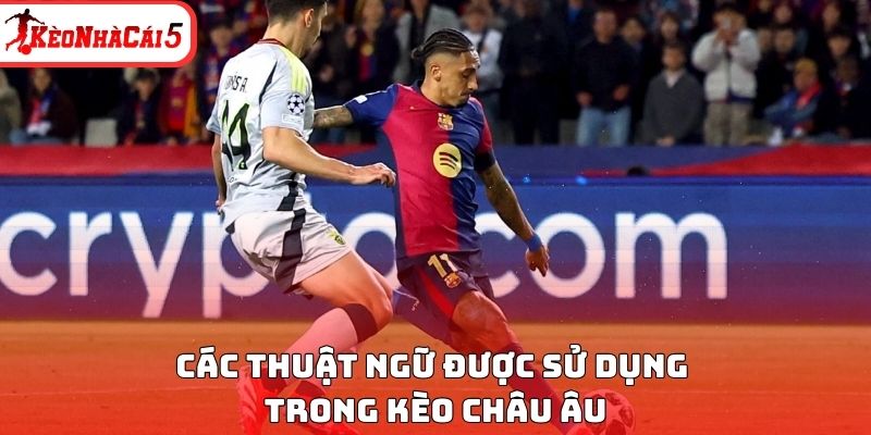 C&aacute;c thuật ngữ được sử dụng trong k&egrave;o ch&acirc;u &Acirc;u