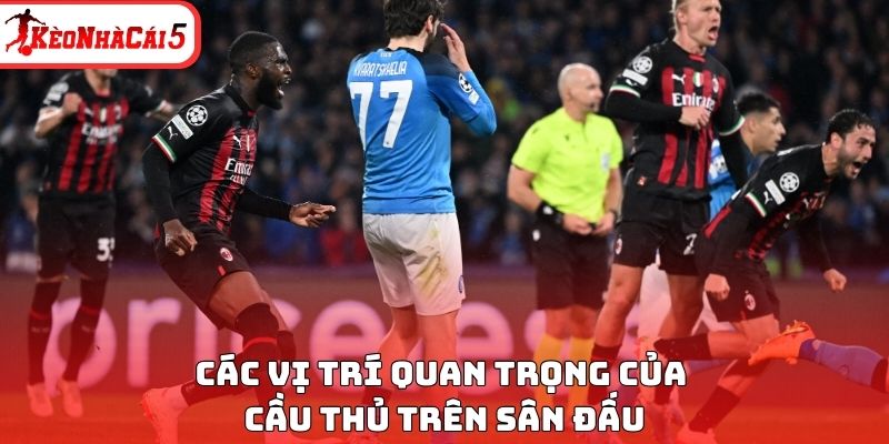 C&aacute;c vị tr&iacute; quan trọng của cầu thủ tr&ecirc;n s&acirc;n đấu