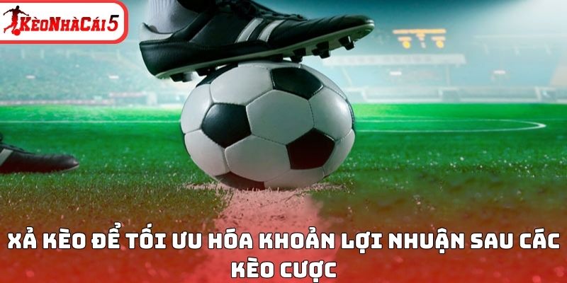 Xả k&egrave;o để tối ưu h&oacute;a khoản lợi nhuận sau c&aacute;c k&egrave;o cược